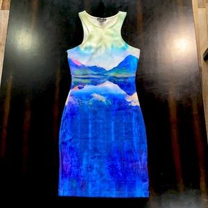 Size XS landscape dress from H&M